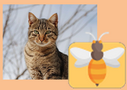 17 LUTY 2023 - Dzień Kota - grupa Pszczółki